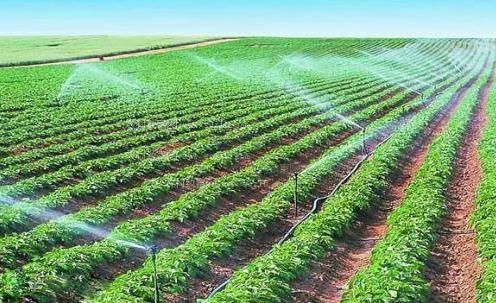 犒屄视频在线观看农田高 效节水灌溉